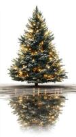 Snowy Christmas tree with warm lights reflecting on icy ground during winter morning photo