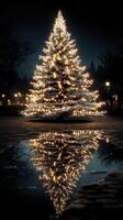 Beautifully illuminated Christmas tree with reflections in puddle during a winter night photo