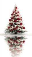 Beautiful snowy Christmas tree adorned with red flowers, reflecting on a white surface during the holiday season photo