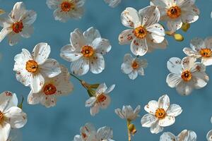 A bunch of white flowers are on a blue background photo