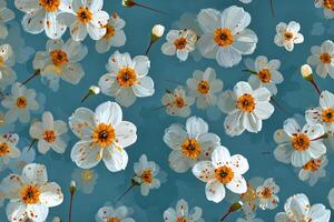 A bunch of white flowers on a blue background photo