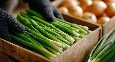 A person holding a box of green onions photo