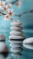 Zen stones and flowers on water photo