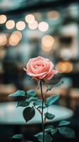 A single rose is in front of a table with lights photo