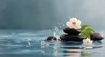 Spa stones and water with flowers photo