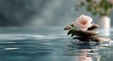 A stone with a flower floating in water photo