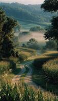 un suciedad la carretera en un campo foto