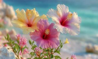 Two pink and yellow flowers are on the beach photo
