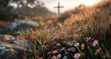 A cross in the middle of a field with flowers photo