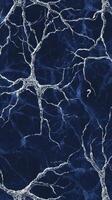 Abstract Neurological Network Deep Blue Mystery Intricate Branches Brain Cell Structure Intriguing Design photo