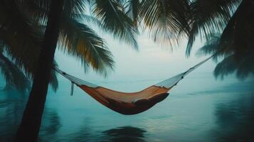 Relaxing Hammock Between Palm Trees at a Tropical Beach photo