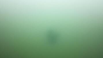 Solitary Figure Floating in Calm Green Water photo