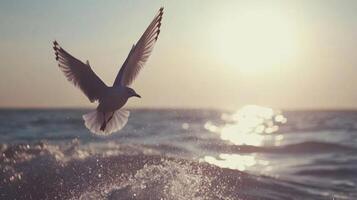 Seagull in Flight Over Ocean Waves at Sunset photo