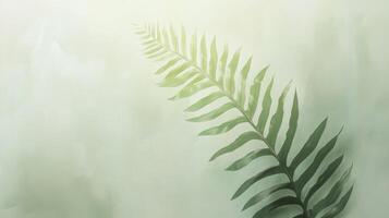 Green Fern Leaf on Soft Green Background photo