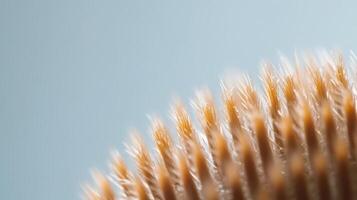 Close up view of a soft brush bristle texture photo