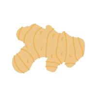 Ginger illustration Perfect for health, food, or organic-themed designs, suitable for packaging, branding, and educational visuals vector