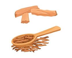 Dried Sandalwood Fragrant Bark in Spoon and Chips Set vector
