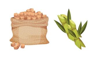 Pile of Brown Sugar Cubes in Sack and Sugarcane as Sweetener for Tea and Coffee Set vector