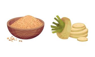 Pile of Refined Brown Sugar in Bowl and Sliced Beet as Sweetener for Food and Drink Set vector