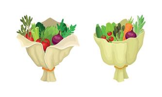 Bouquet of Ripe Vegetable Wrapped in Papper Set vector