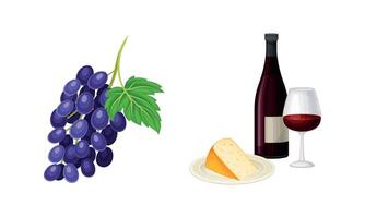 Wine Bottle with Glass for Degustation and Grape Cluster Set vector