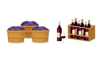 Destemmed Grapes Gathered in Baskets and Glass Bottles in Rack Set vector