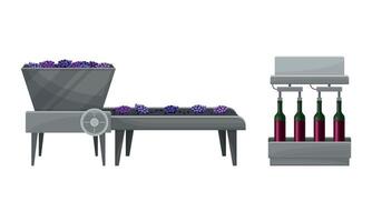 Destemmed Grapes on Conveyor Belt and Bottling Process Set vector