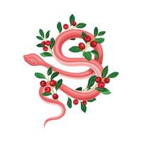 Red snake coiled around cranberry branch illustration vector