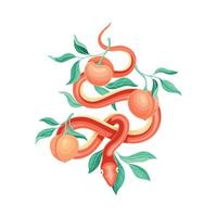 Snake coiled around peach tree branch illustration vector