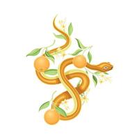 Snake coiled around orange tree branch illustration vector