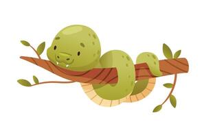 Snake coiled up on tree branch. Funny wild reptile baby animal cartoon illustration vector