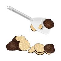 Truffle Fungus Preparation with Slicing Knife Set vector