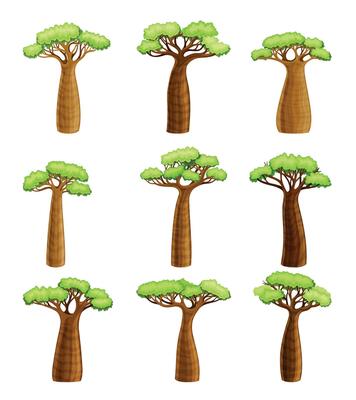 Baobab trees set. African landscape design elements. Powerful plants with green foliage cartoon illustration