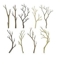 Bare Tree Branch or Twigs with Naked Stem and Snag Set vector