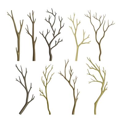 Bare Tree Branch or Twigs with Naked Stem and Snag Set