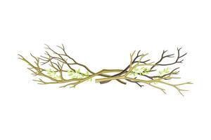 Pile of Bare Tree Branch Rested Together Illustration vector