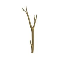 Bare Tree Branch or Twigs with Naked Stem and Snag Illustration vector