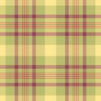Seamless tartan pattern. Elegant, versatile background ideal for fashion, textile, home decor, or digital design projects. Plaid texture. vector