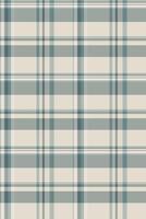Elegant cream and teal plaid pattern. Perfect for textile design, website backgrounds, or crafting projects. This subtle yet stylish image evokes feelings of calm and sophistication. vector