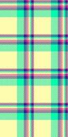 Vibrant pastel plaid pattern. Perfect for textile design, fashion, website backgrounds, or playful branding. This cheerful, modern design evokes feelings of happiness and optimism. vector