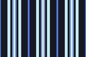 Cop fabric textile, skirt stripe lines vertical. Sew seamless texture background pattern in black and white colors. vector