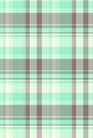 Reel tartan textile fabric, content check seamless pattern. Dimensional background texture plaid in pastel and light colors. vector