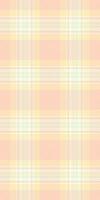 Decorate check seamless, stripe textile plaid pattern. Exotic tartan texture background fabric in light and moccasin colors. vector
