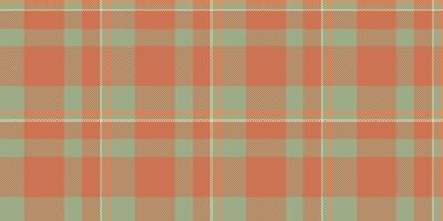 Subtle yet striking, this autumnal plaid pattern in muted coral and sage green offers versatility for various design applications. vector