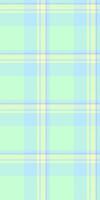 Pastel plaid pattern, perfect for backgrounds, textiles, or website design. Soft, calming colors evoke feelings of serenity and gentleness. Ideal for projects needing a subtle yet stylish texture. vector