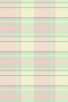 Pastel plaid pattern, perfect for backgrounds, textiles, or branding. Subtle yet stylish, this soft, repeating design evokes feelings of calm and serenity. vector