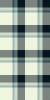 White tartan background check, handsome pattern textile. Hipster plaid texture seamless fabric in light and black colors. vector