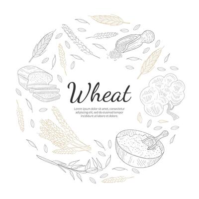 Wheat Organic Product Banner Template, Agricultural Plants and Baked Products of Round Shape, Bakeshop, Cafe, Packaging, Menu Design Hand Drawn Illustration
