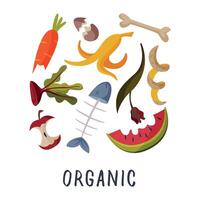 Organic Waste, Garbage Sorting, Segregation and Separation of Rubbish Illustration on White Background vector