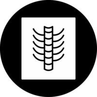 Backbone X Ray Spinal Imaging Glyph Circle Inverted vector